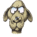9.gif