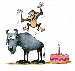 11.gif